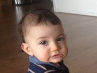 adam 2015